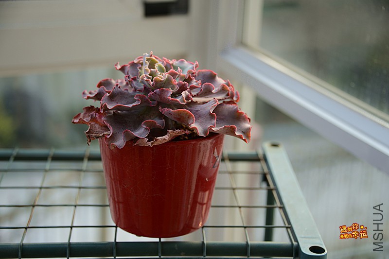 ��Ƭ 629_����.jpg