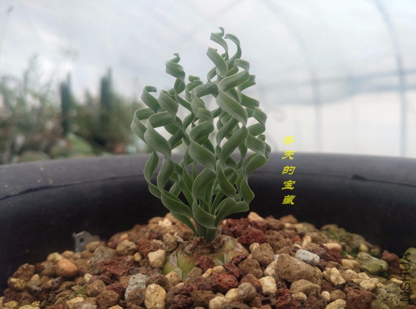 20170222_100003.jpg