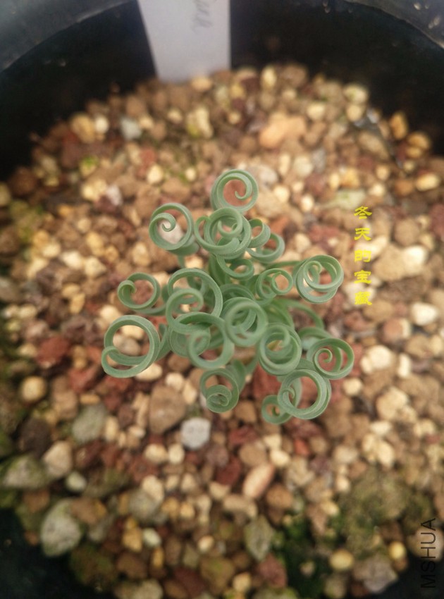 20170222_100002.jpg