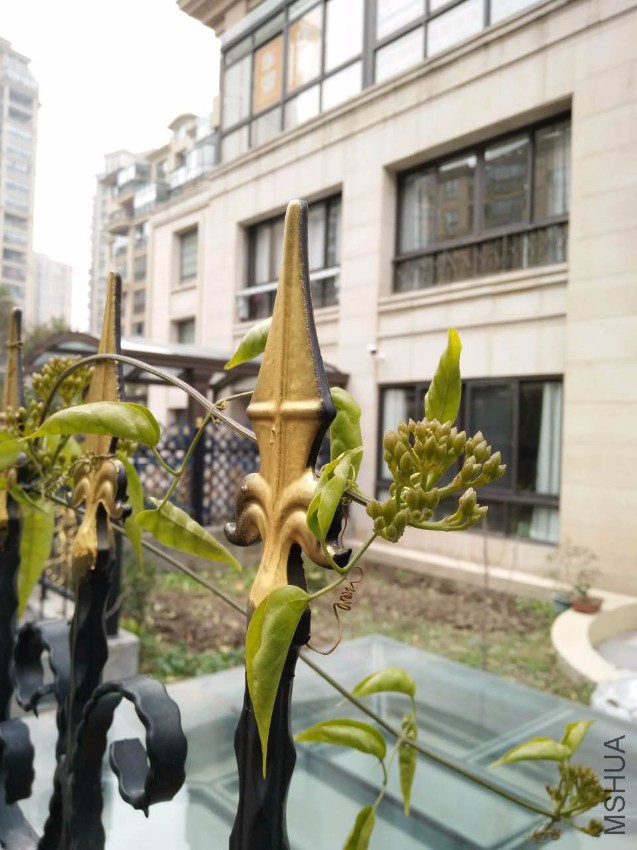 �������̻�