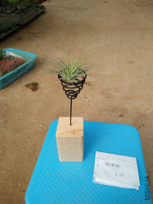 100326p6kjjsrwj6s8koak.jpg