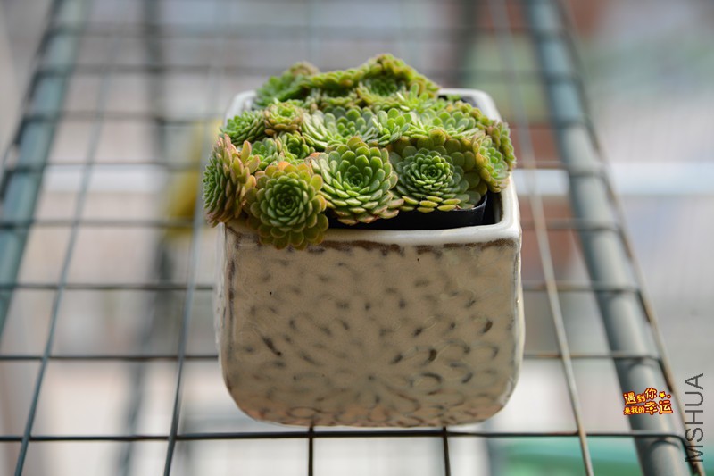 ��Ƭ 307_����.jpg