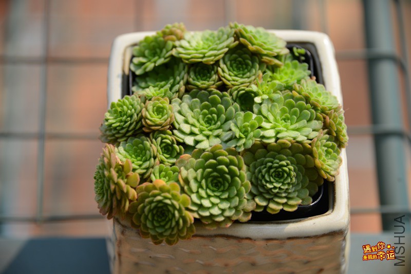 ��Ƭ 310_����.jpg