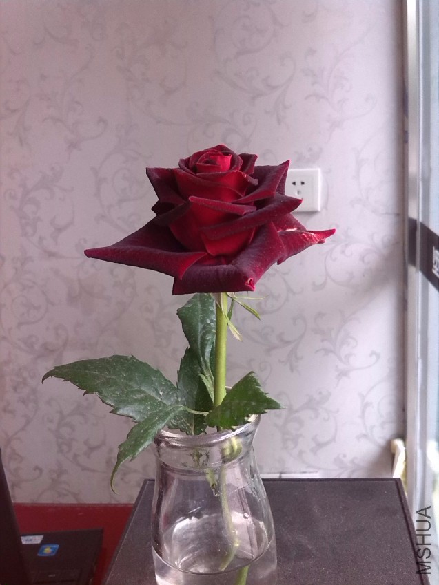 IMG_20150408_165154.jpg