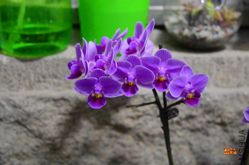 ��Ƭ 022_����.jpg