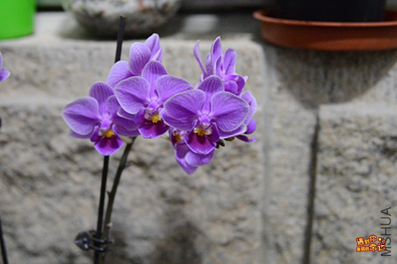 ��Ƭ 023_����.jpg