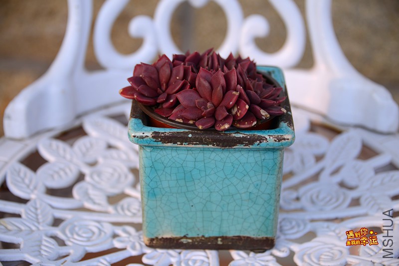 ��Ƭ 642_����.jpg