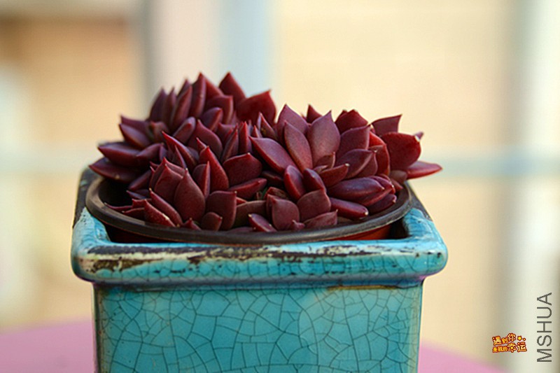 ��Ƭ 647_����.jpg