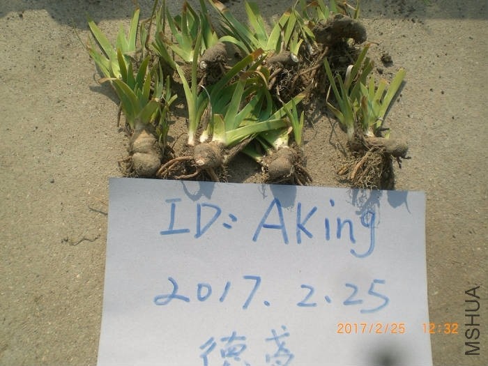 231452y34pyj4yywmid13u.JPG.thumb.jpg