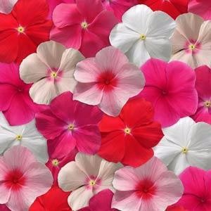 112-1���մ����к�.jpg