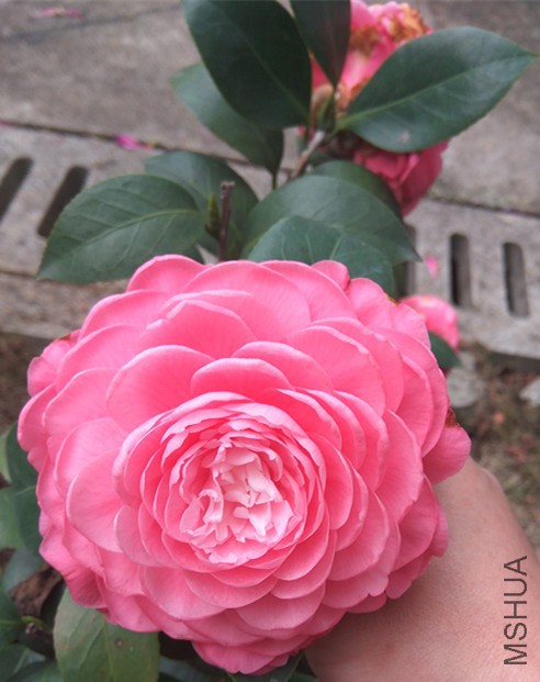 1 166_����.jpg