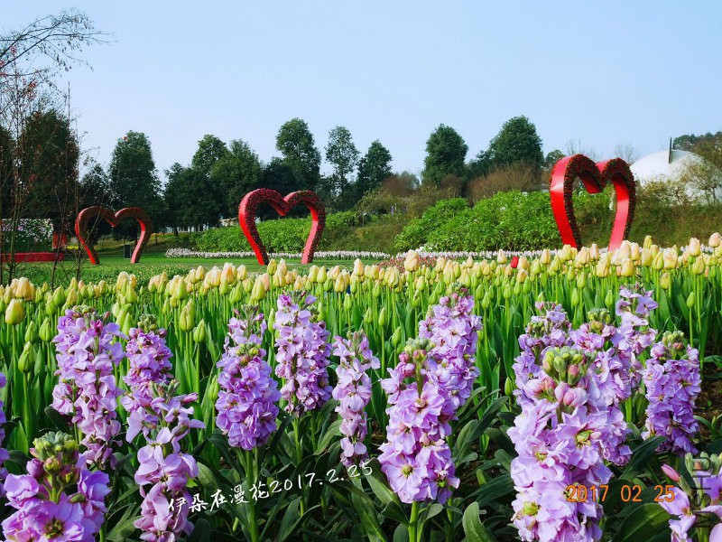 190507313901829848 - �?��.jpg