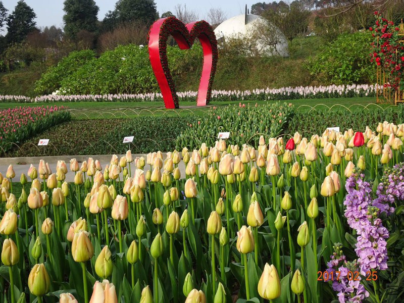 709028908674060842 - �?��.jpg