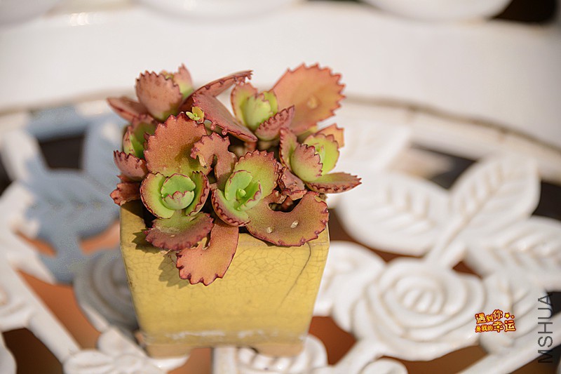 ��Ƭ 257_����.jpg