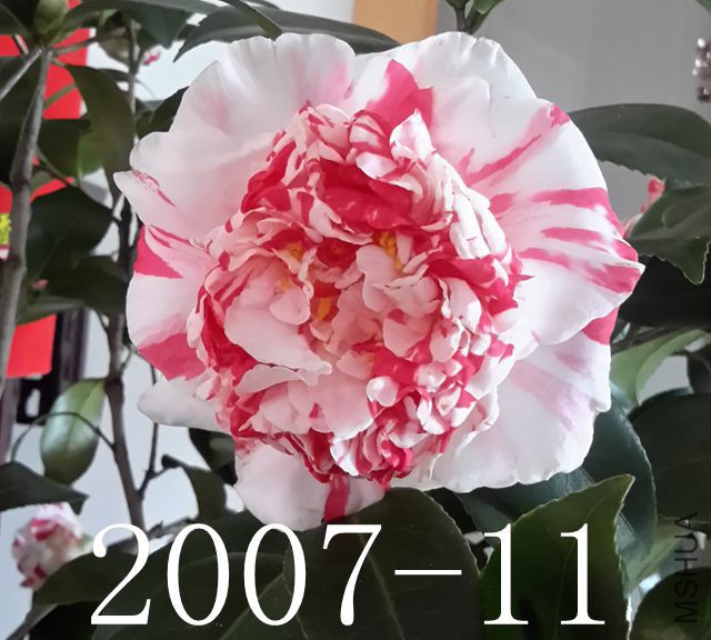 20170227_132451_����.jpg