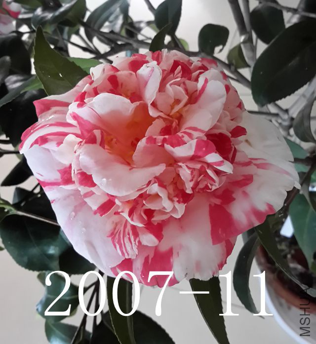 20170227_132504_����.jpg