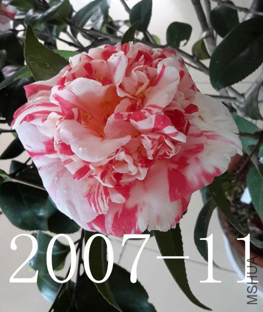 20170227_132507_����.jpg