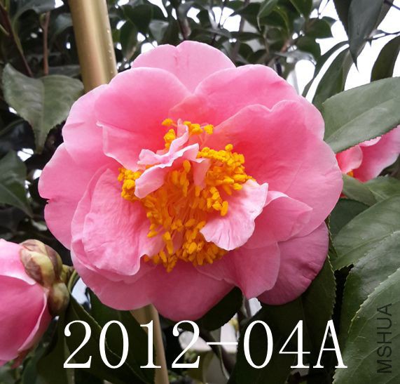 20170223_092649_����.jpg