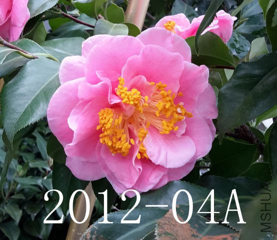 20170223_092712_����.jpg