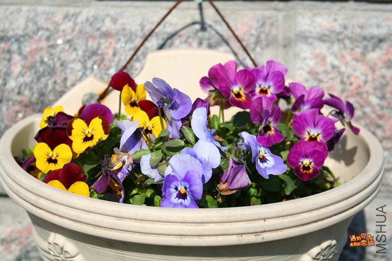 ��Ƭ 119_����.jpg