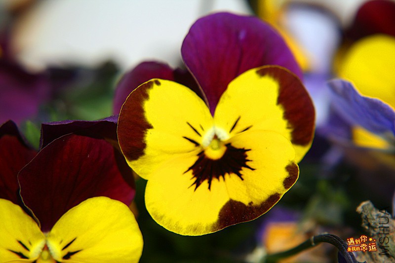 ��Ƭ 123_����.jpg