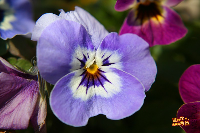 ��Ƭ 124_����.jpg