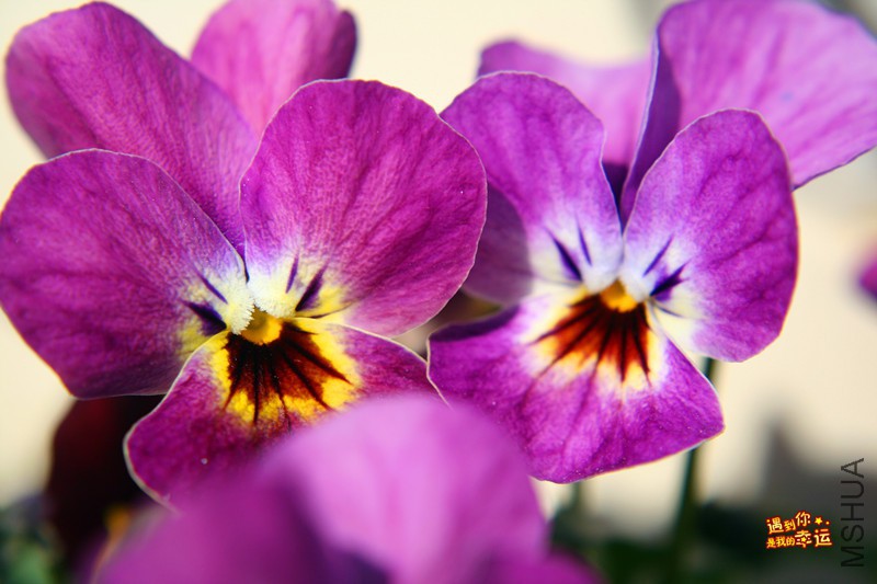 ��Ƭ 127_����.jpg