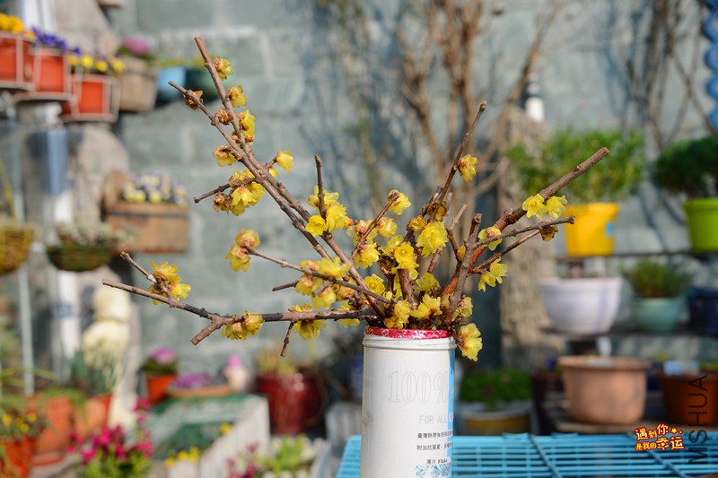 ��Ƭ 223_����.jpg