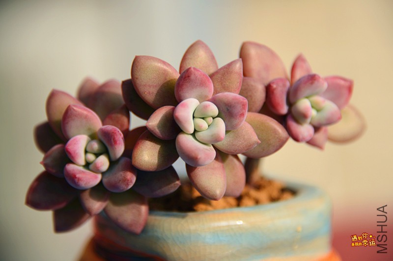 ��Ƭ 327_����.jpg