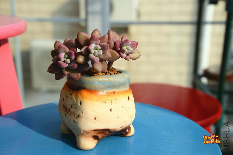 ��Ƭ 326_����.jpg