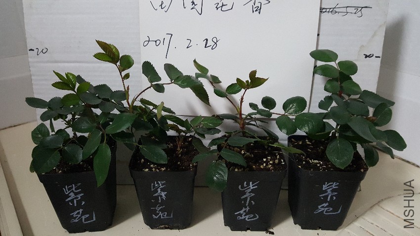 20170227_235505.jpg