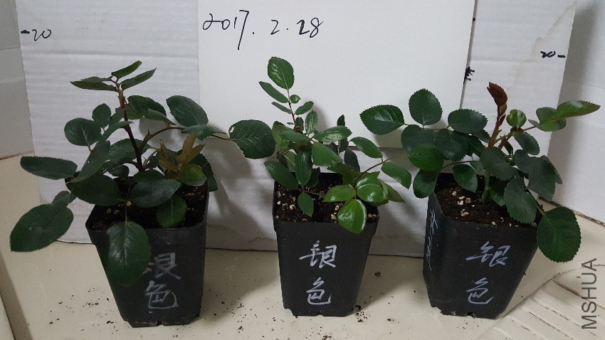 20170228_000536.jpg