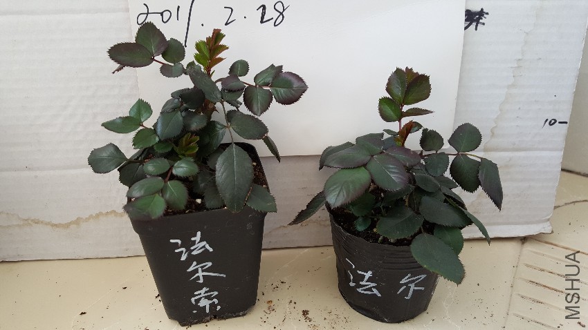 20170228_132145.jpg
