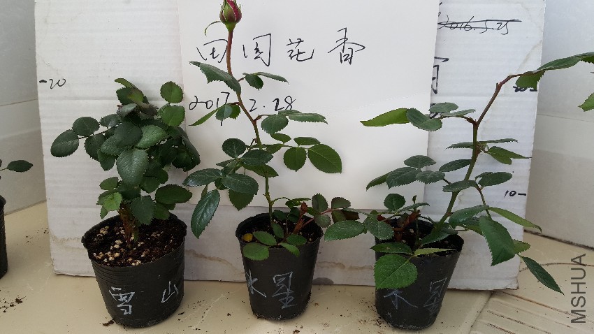 20170228_132351.jpg