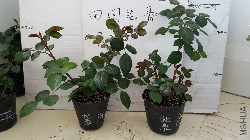 20170228_132236.jpg
