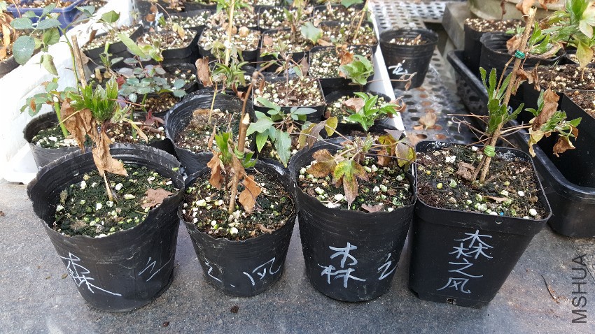 20170227_162136.jpg