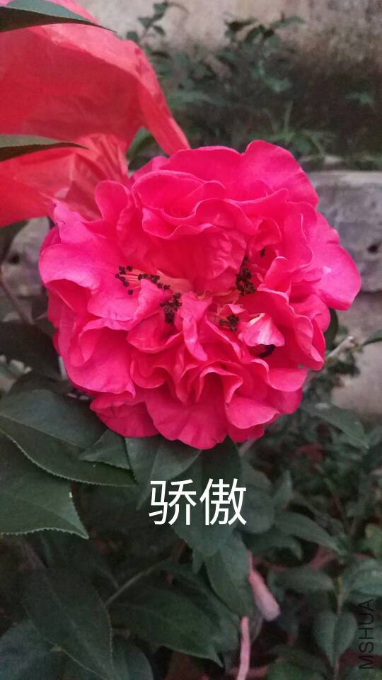 181358khsswnqestvepqv8.jpg