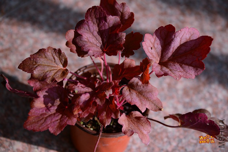 ��Ƭ 064_����.jpg