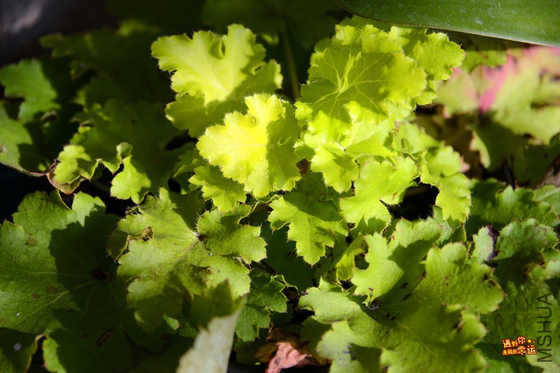 ��Ƭ 065_����.jpg