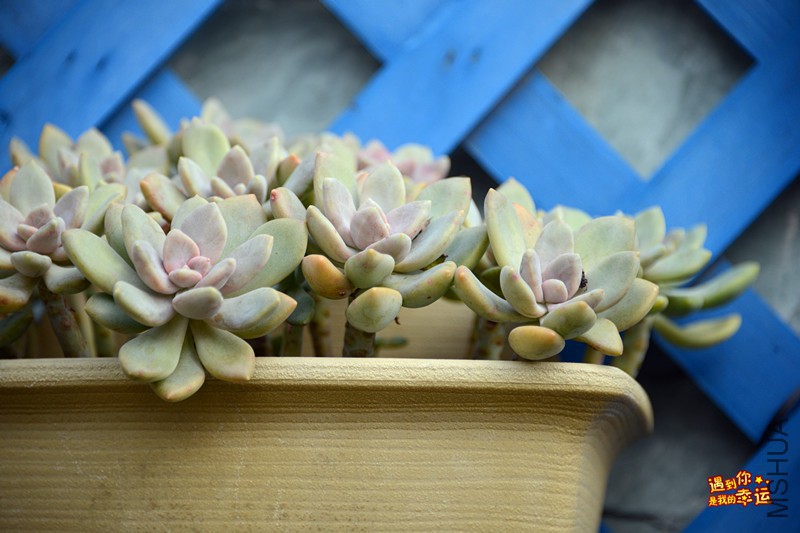 ��Ƭ 140_����.jpg