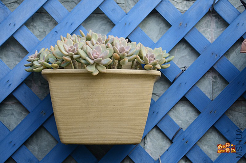 ��Ƭ 138_����.jpg