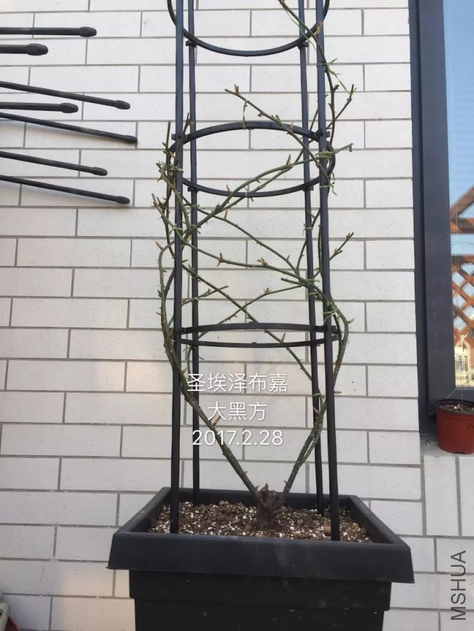 psb-39.jpeg