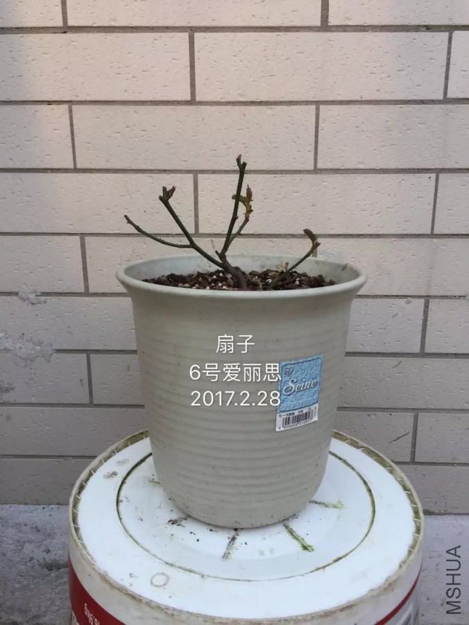 psb-38.jpeg