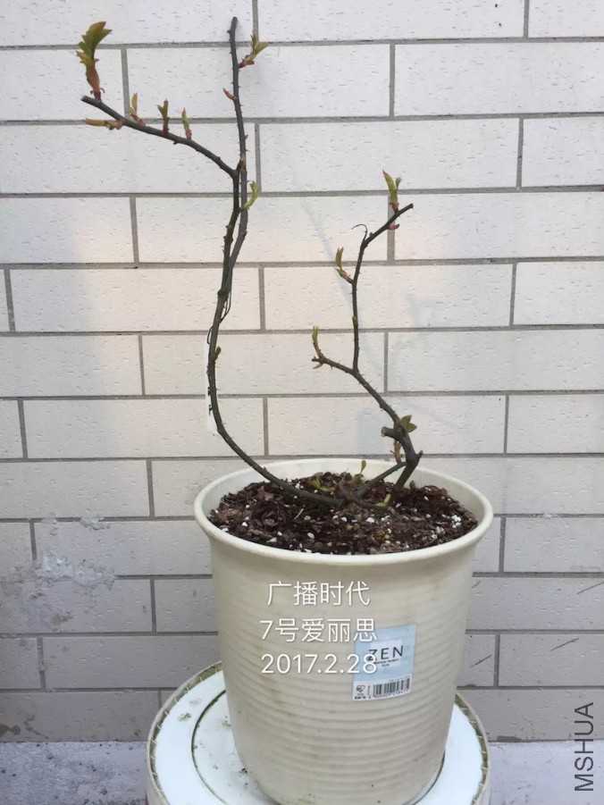 psb-24.jpeg