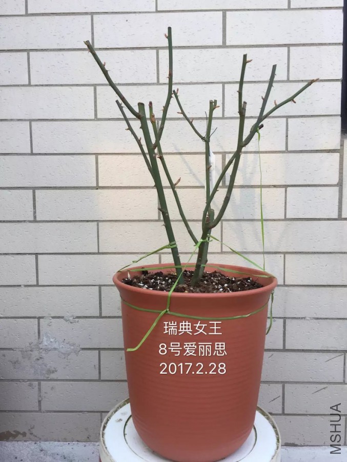 psb-20.jpeg
