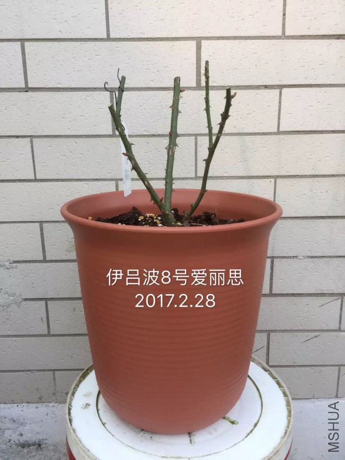 psb-16.jpeg