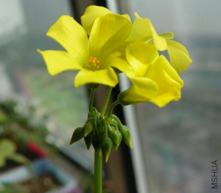 QQͼƬ20170301082533.jpg