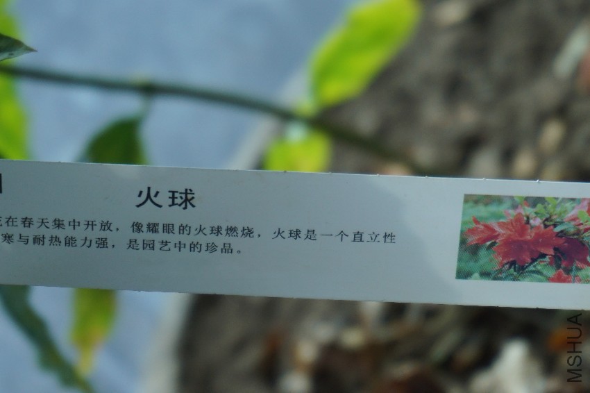 DSC00046_����.jpg