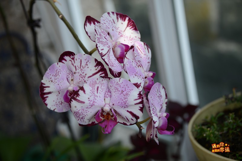 ��Ƭ 039_����.jpg