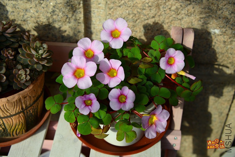 ��Ƭ 091_����.jpg